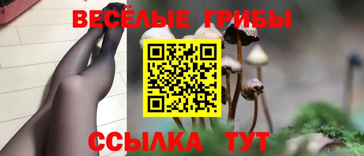 где найти наркотики  Вход с VPN  Ижевск  Галлюциногенные грибы ЛСД 